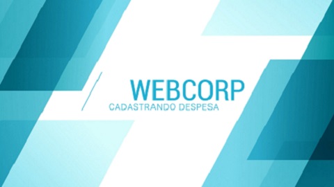 Cadastrando Despesa